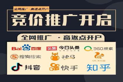 深度解析：百度竞价广告的投放效果与ROI
